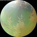 ./images/calvert/underwater/20260806/underwater20260806_115501M.jpg