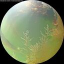 ./images/calvert/underwater/20260806/underwater20260806_120501M.jpg