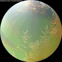 ./images/calvert/underwater/20260806/underwater20260806_121002M.jpg