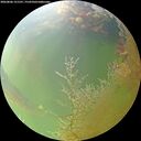 ./images/calvert/underwater/20260806/underwater20260806_121501M.jpg