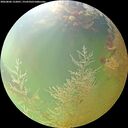 ./images/calvert/underwater/20260806/underwater20260806_122001M.jpg