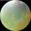 ./images/calvert/underwater/20260806/underwater20260806_122501M.jpg