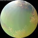 ./images/calvert/underwater/20260806/underwater20260806_123002M.jpg