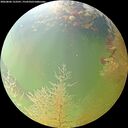 ./images/calvert/underwater/20260806/underwater20260806_123501M.jpg