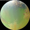 ./images/calvert/underwater/20260806/underwater20260806_124001M.jpg