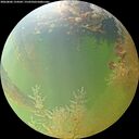 ./images/calvert/underwater/20260806/underwater20260806_124501M.jpg