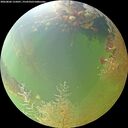 ./images/calvert/underwater/20260806/underwater20260806_125001M.jpg