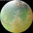 ./images/calvert/underwater/20260806/underwater20260806_130001M.jpg