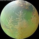./images/calvert/underwater/20260806/underwater20260806_130501M.jpg