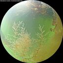 ./images/calvert/underwater/20260806/underwater20260806_131001M.jpg