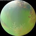 ./images/calvert/underwater/20260806/underwater20260806_131501M.jpg