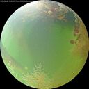 ./images/calvert/underwater/20260806/underwater20260806_132002M.jpg