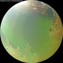 ./images/calvert/underwater/20260806/underwater20260806_132501M.jpg