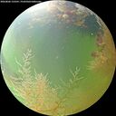 ./images/calvert/underwater/20260806/underwater20260806_133501M.jpg