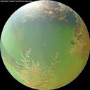 ./images/calvert/underwater/20260806/underwater20260806_134001M.jpg