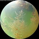 ./images/calvert/underwater/20260806/underwater20260806_135001M.jpg