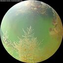 ./images/calvert/underwater/20260806/underwater20260806_135501M.jpg