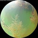 ./images/calvert/underwater/20260806/underwater20260806_140501M.jpg