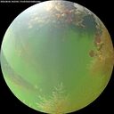 ./images/calvert/underwater/20260806/underwater20260806_142501M.jpg