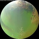 ./images/calvert/underwater/20260806/underwater20260806_143001M.jpg