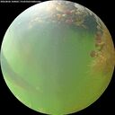 ./images/calvert/underwater/20260806/underwater20260806_144001M.jpg