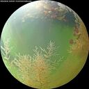 ./images/calvert/underwater/20260806/underwater20260806_144501M.jpg