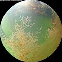 ./images/calvert/underwater/20260806/underwater20260806_145001M.jpg