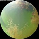 ./images/calvert/underwater/20260806/underwater20260806_150001M.jpg