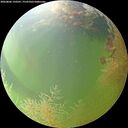 ./images/calvert/underwater/20260806/underwater20260806_150501M.jpg