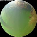 ./images/calvert/underwater/20260806/underwater20260806_151001M.jpg