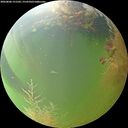 ./images/calvert/underwater/20260806/underwater20260806_151501M.jpg