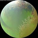 ./images/calvert/underwater/20260806/underwater20260806_152501M.jpg