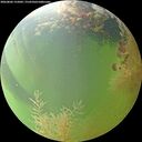 ./images/calvert/underwater/20260806/underwater20260806_155001M.jpg