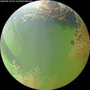 ./images/calvert/underwater/20260806/underwater20260806_155501M.jpg