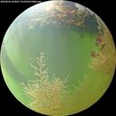 ./images/calvert/underwater/20260806/underwater20260806_160001M.jpg