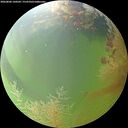 ./images/calvert/underwater/20260806/underwater20260806_160501M.jpg