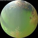 ./images/calvert/underwater/20260806/underwater20260806_161001M.jpg