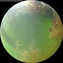 ./images/calvert/underwater/20260806/underwater20260806_162001M.jpg