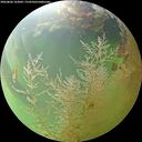 ./images/calvert/underwater/20260806/underwater20260806_163002M.jpg