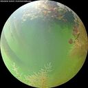 ./images/calvert/underwater/20260806/underwater20260806_164501M.jpg