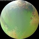 ./images/calvert/underwater/20260806/underwater20260806_165001M.jpg