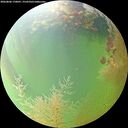 ./images/calvert/underwater/20260806/underwater20260806_170001M.jpg