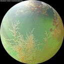 ./images/calvert/underwater/20260806/underwater20260806_170501M.jpg