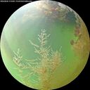 ./images/calvert/underwater/20260806/underwater20260806_171001M.jpg