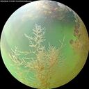 ./images/calvert/underwater/20260806/underwater20260806_171501M.jpg