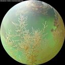 ./images/calvert/underwater/20260806/underwater20260806_172001M.jpg