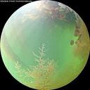 ./images/calvert/underwater/20260806/underwater20260806_173501M.jpg
