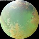 ./images/calvert/underwater/20260806/underwater20260806_174001M.jpg