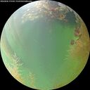 ./images/calvert/underwater/20260806/underwater20260806_175501M.jpg