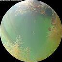 ./images/calvert/underwater/20260806/underwater20260806_180001M.jpg